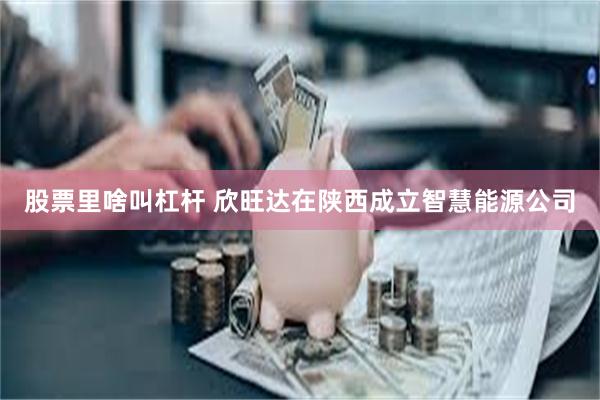 股票里啥叫杠杆 欣旺达在陕西成立智慧能源公司