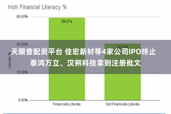 天眼查配资平台 佳宏新材等4家公司IPO终止  泰鸿万立、汉朔科技拿到注册批文