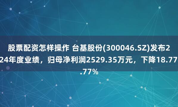 股票配资怎样操作 台基股份(300046.SZ)发布2024年度业绩，归母净利润2529.35万元，下降18.77%