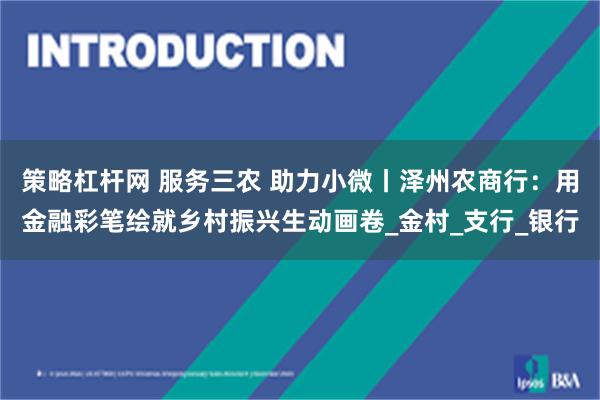 策略杠杆网 服务三农 助力小微丨泽州农商行：用金融彩笔绘就乡村振兴生动画卷_金村_支行_银行