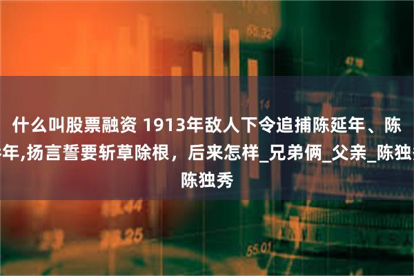 什么叫股票融资 1913年敌人下令追捕陈延年、陈乔年,扬言誓要斩草除根，后来怎样_兄弟俩_父亲_陈独秀