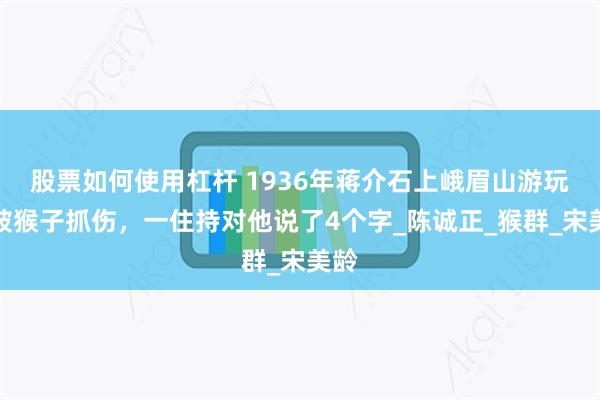 股票如何使用杠杆 1936年蒋介石上峨眉山游玩，被猴子抓伤，一住持对他说了4个字_陈诚正_猴群_宋美龄