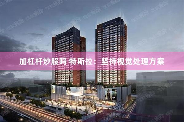 加杠杆炒股吗 特斯拉：坚持视觉处理方案