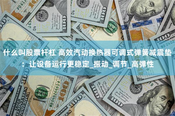 什么叫股票杆杠 高效汽动换热器可调式弹簧减震垫：让设备运行更稳定_振动_调节_高弹性