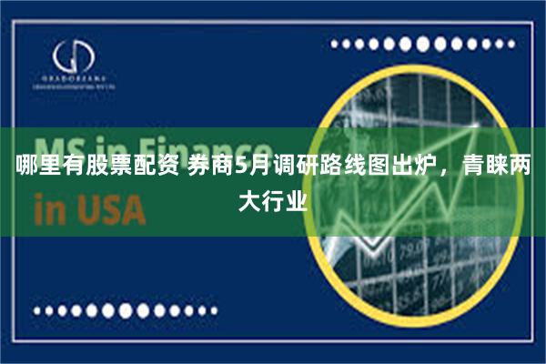 哪里有股票配资 券商5月调研路线图出炉，青睐两大行业