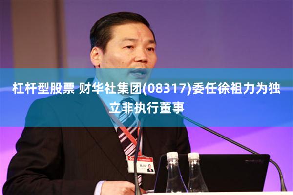 杠杆型股票 财华社集团(08317)委任徐袓力为独立非执行董事