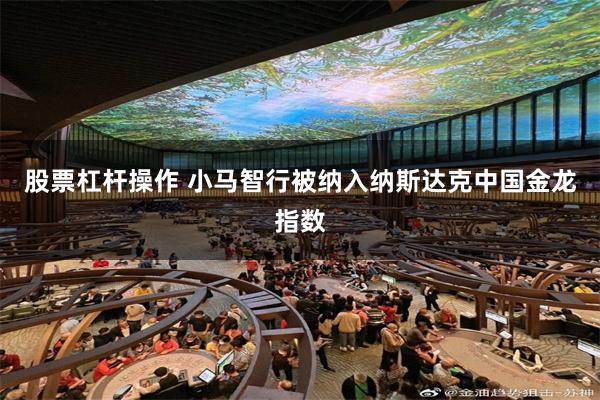 股票杠杆操作 小马智行被纳入纳斯达克中国金龙指数