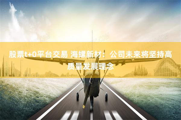 股票t+0平台交易 海螺新材：公司未来将坚持高质量发展理念