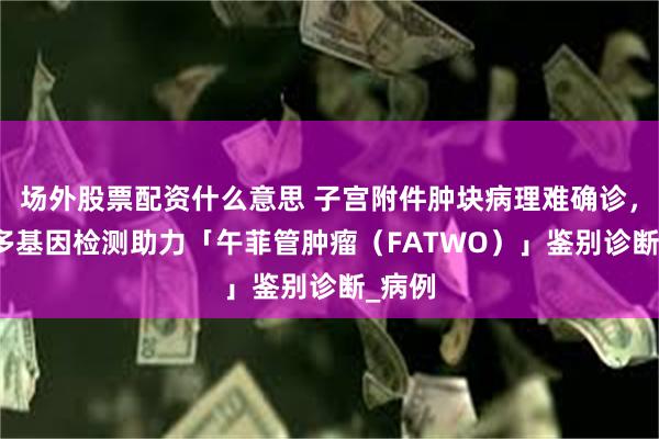 场外股票配资什么意思 子宫附件肿块病理难确诊，NGS多基因检测助力「午菲管肿瘤（FATWO）」鉴别诊断_病例