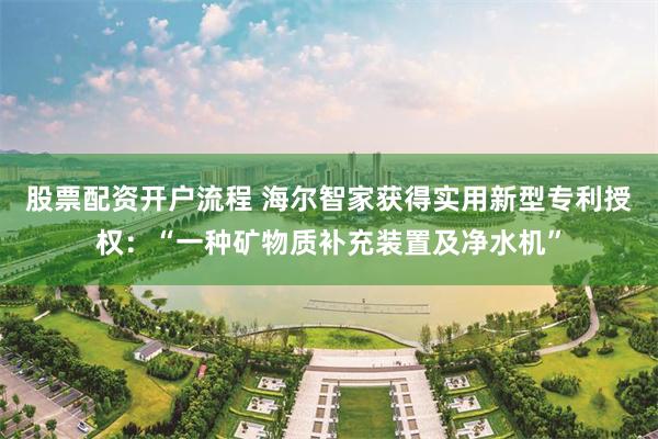 股票配资开户流程 海尔智家获得实用新型专利授权：“一种矿物质补充装置及净水机”