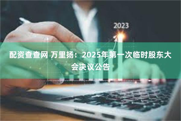 配资查查网 万里扬：2025年第一次临时股东大会决议公告