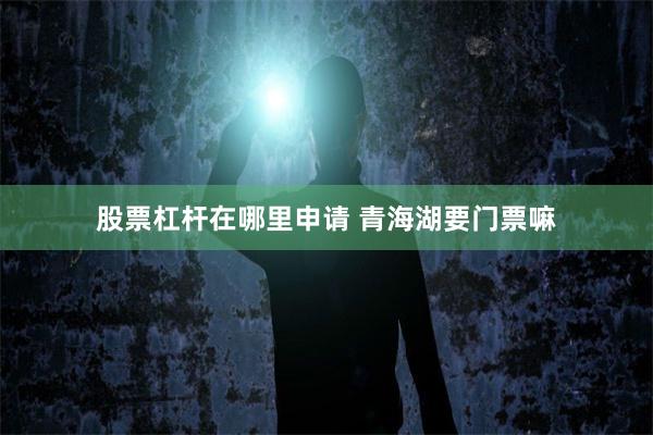 股票杠杆在哪里申请 青海湖要门票嘛
