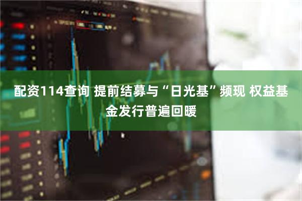 配资114查询 提前结募与“日光基”频现 权益基金发行普遍回暖