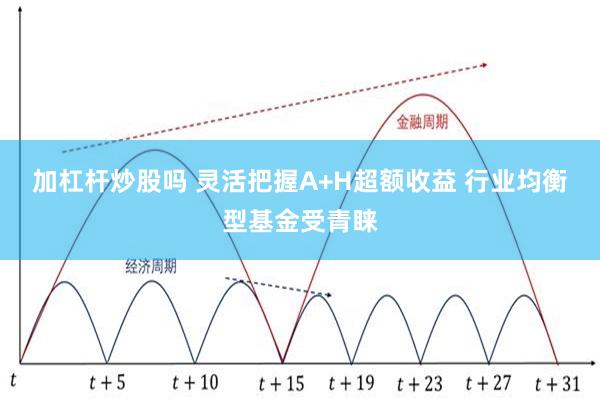 加杠杆炒股吗 灵活把握A+H超额收益 行业均衡型基金受青睐