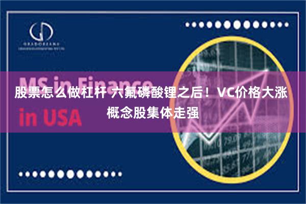 股票怎么做杠杆 六氟磷酸锂之后!VC价格大涨 概念股集体走强